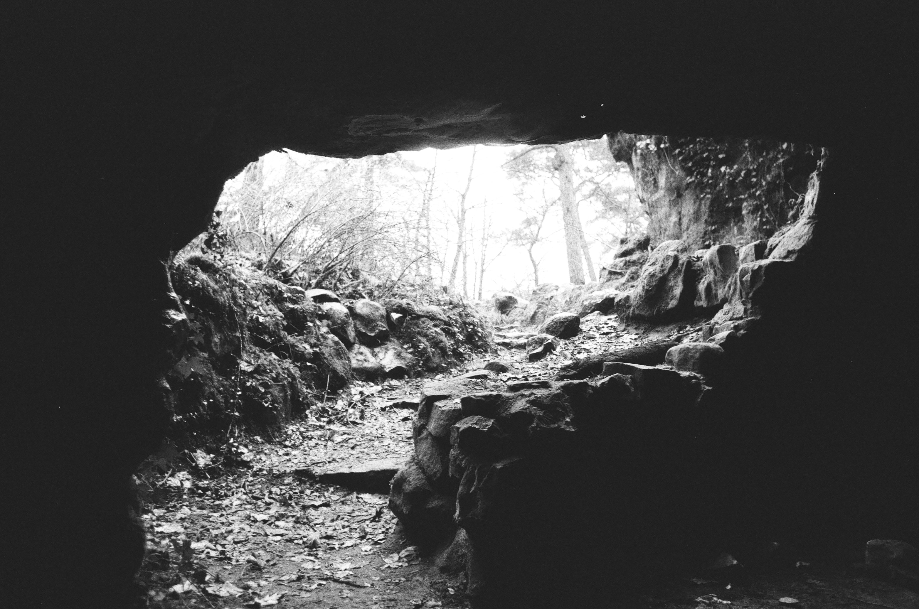 Bruno Bauni Portfolio Background